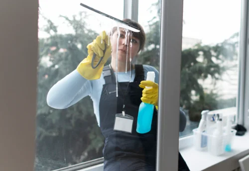 Nettoyage de vitres intérieures et extérieures à Plougasnou